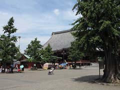 img_0140.jpg