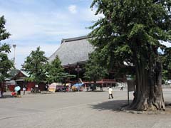 img_0142.jpg