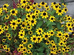 img_0151.jpg