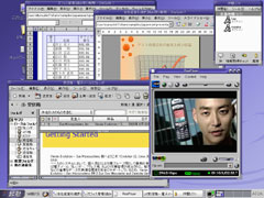 Sun Java Desktop System