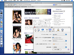 Safari RSS/通常表示
