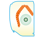 イラスト発注中
