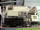 TritonVX