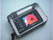 DSC-F1