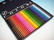DSC-F1 SAMPLE Ex-1