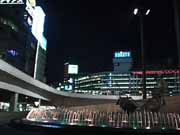 ピント失敗例2