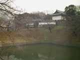 ピント例2