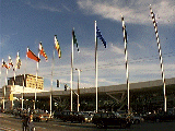 flags