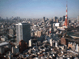 サンプル