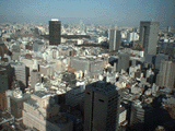 サンプル