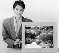 （写真はモノクロです）