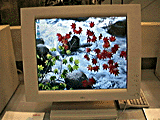 VL-2100T