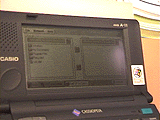 CASIO