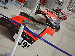 DS-20(4)