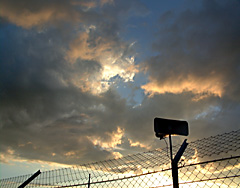 DS-300(1)