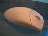Mouse