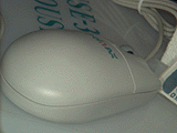 Mouse