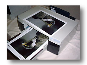 PM-5000C / FUJIFILM DS-20