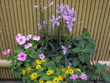 花3