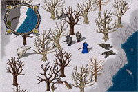 Ultima Online 1