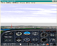 Flight Simulator