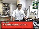 犬物語3