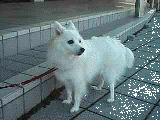 作例1