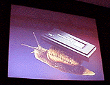 CFmovie