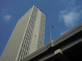 実写画像