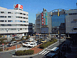 実写画像