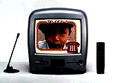 本体