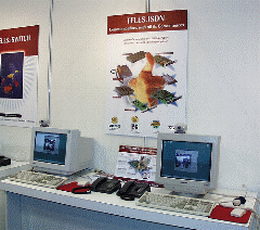 TELES Video Conference System