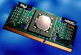 Celeron