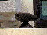 DVC-323