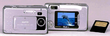 DSC-V100