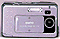 DSC-V100