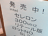 Celeron 300MHzパッケージ