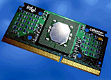 Celeron