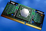 Celeron