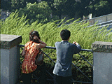 望遠