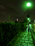 夜景