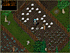 Ultima Online_2