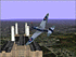 Combat Flight Simulator_2