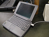 Acer