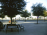 COMDEX/Fall '98会場風景