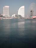 実写画像1