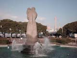 実写画像1