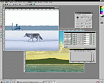 Paint Shop Pro 5J