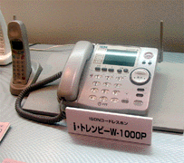 NTT W-1000P