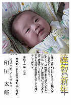 全体